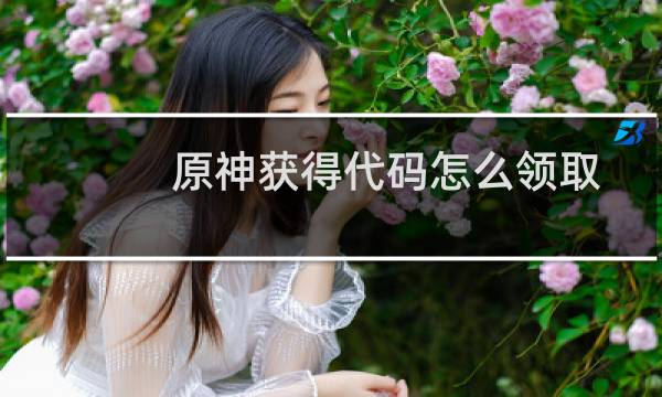 原神获得代码怎么领取