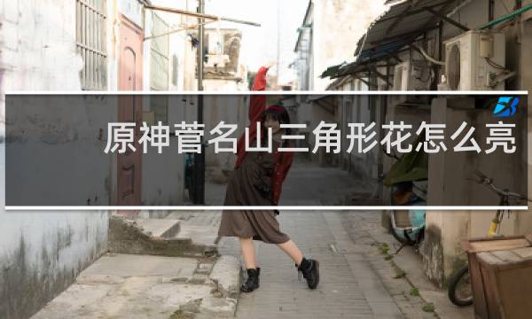 原神菅名山三角形花怎么亮