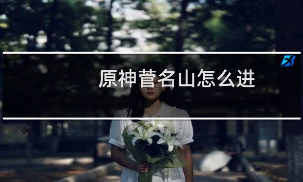 原神菅名山怎么进