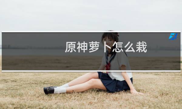 原神萝卜怎么栽