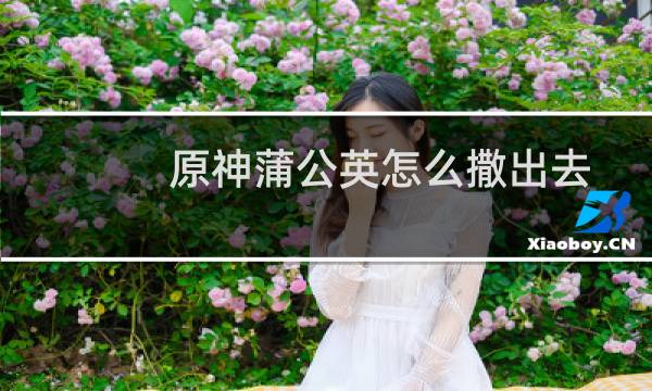 原神蒲公英怎么撒出去