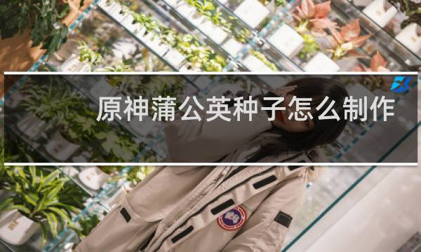 原神蒲公英种子怎么制作