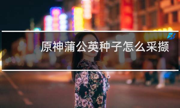 原神蒲公英种子怎么采撷