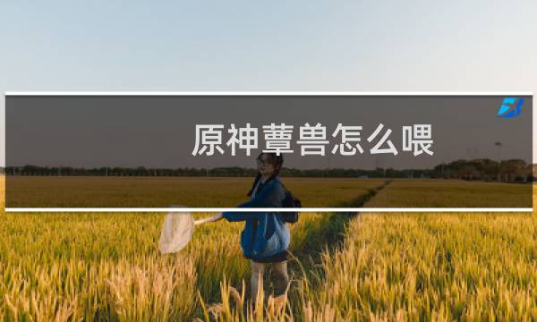 原神蕈兽怎么喂