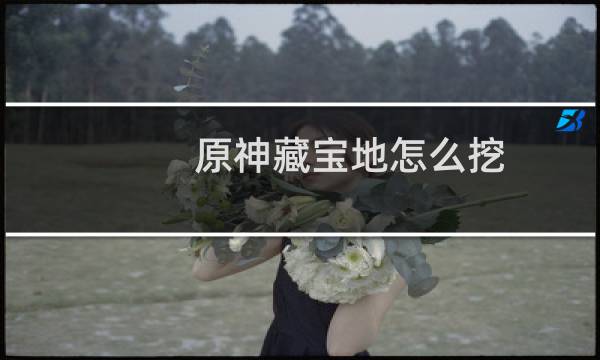 原神藏宝地怎么挖