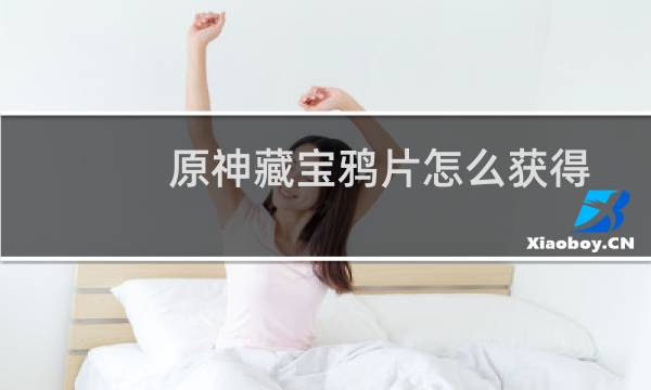 原神藏宝鸦片怎么获得