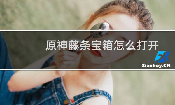 原神藤条宝箱怎么打开