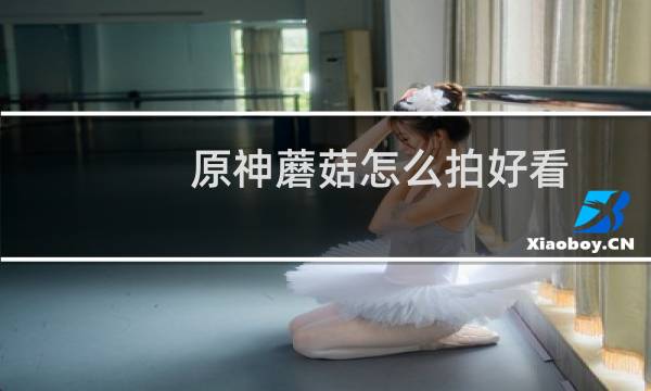 原神蘑菇怎么拍好看