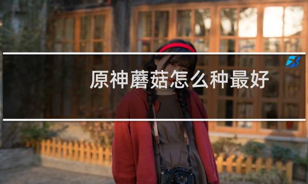 原神蘑菇怎么种最好