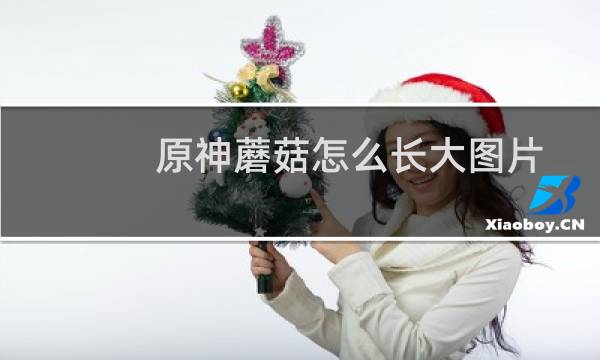原神蘑菇怎么长大图片