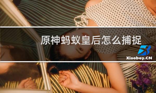 原神蚂蚁皇后怎么捕捉