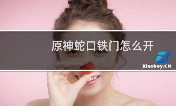 原神蛇口铁门怎么开
