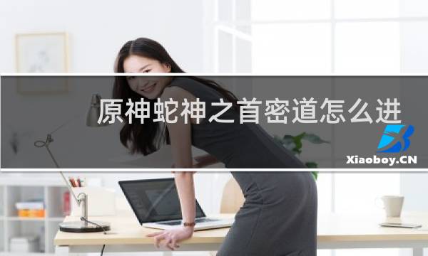 原神蛇神之首密道怎么进