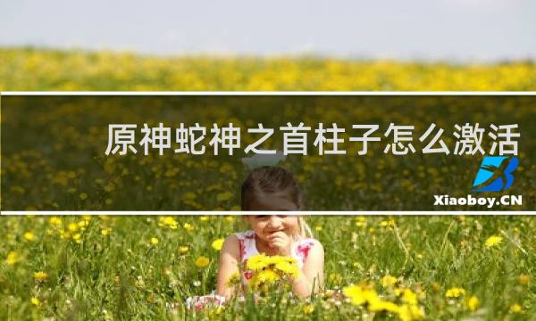 原神蛇神之首柱子怎么激活