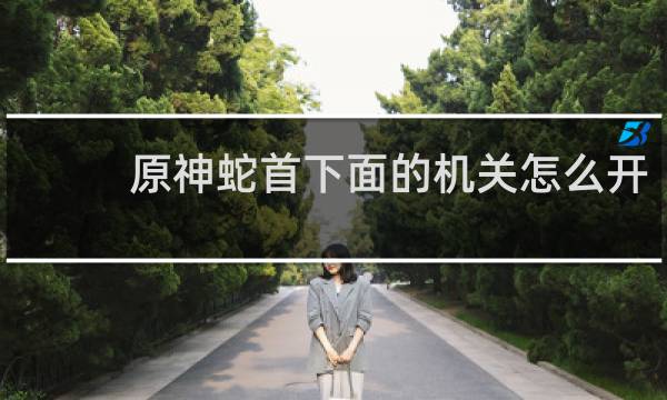 原神蛇首下面的机关怎么开