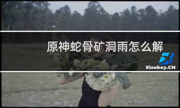 原神蛇骨矿洞雨怎么解