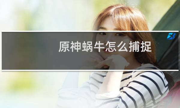 原神蜗牛怎么捕捉