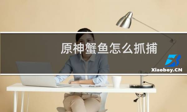 原神蟹鱼怎么抓捕