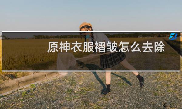 原神衣服褶皱怎么去除