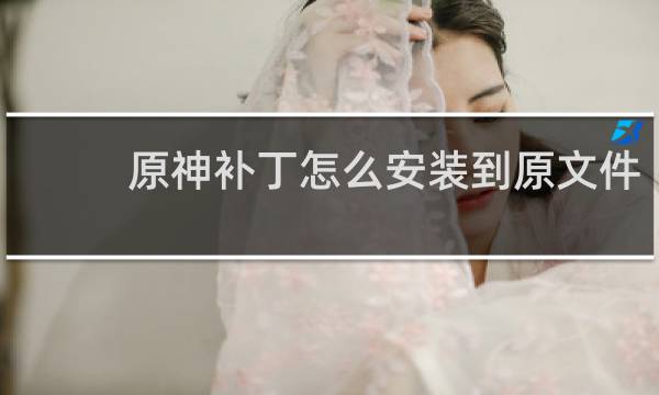 原神补丁怎么安装到原文件