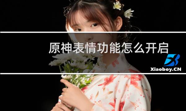 原神表情功能怎么开启