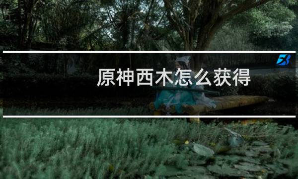原神西木怎么获得