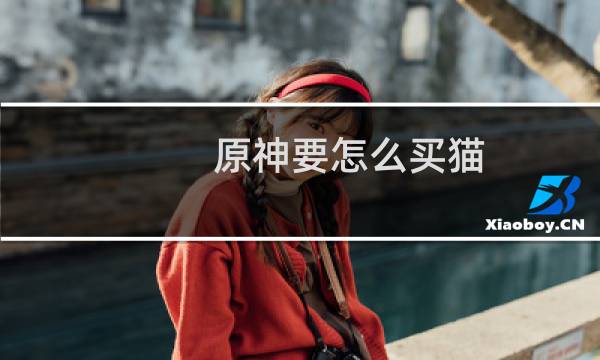 原神要怎么买猫