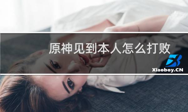 原神见到本人怎么打败