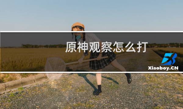 原神观察怎么打