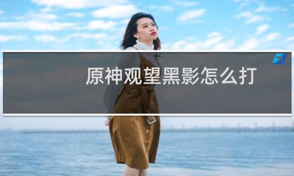 原神观望黑影怎么打