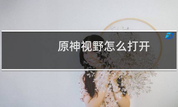 原神视野怎么打开