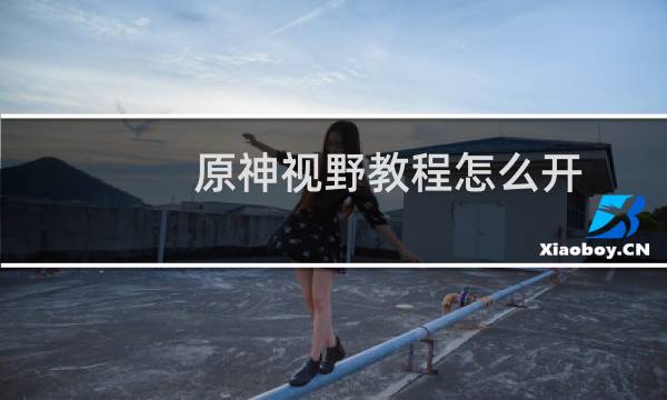 原神视野教程怎么开