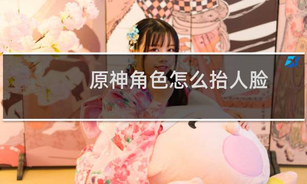 原神角色怎么抬人脸