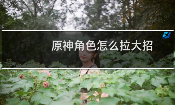 原神角色怎么拉大招