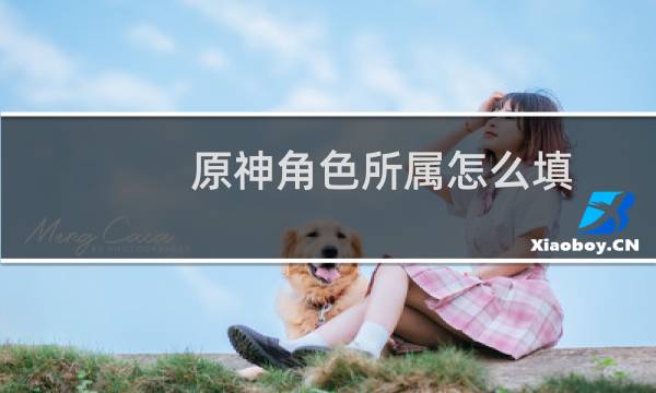 原神角色所属怎么填