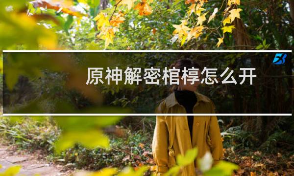 原神解密棺椁怎么开