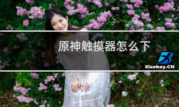 原神触摸器怎么下
