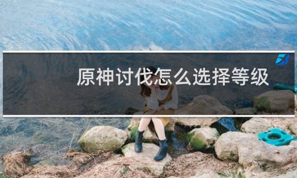 原神讨伐怎么选择等级