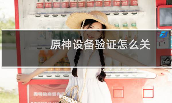 原神设备验证怎么关