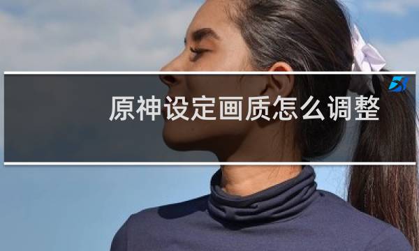 原神设定画质怎么调整