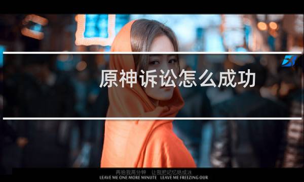 原神诉讼怎么成功