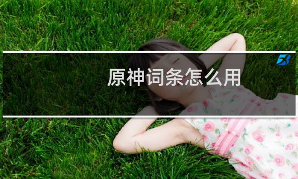 原神词条怎么用