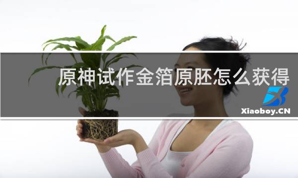 原神试作金箔原胚怎么获得