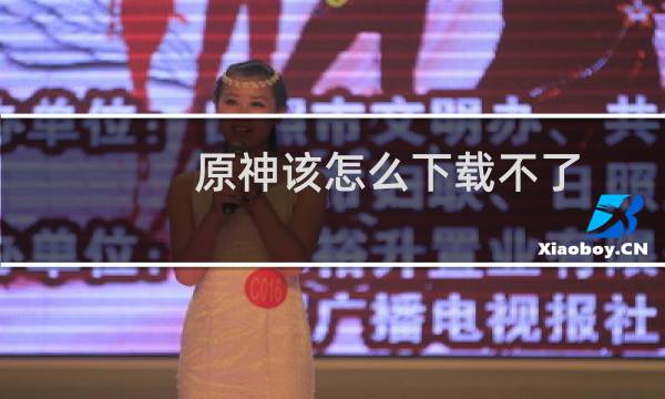 原神该怎么下载不了