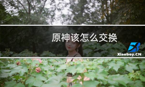 原神该怎么交换