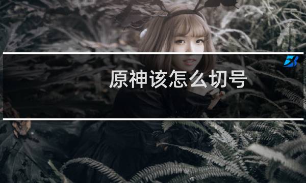 原神该怎么切号