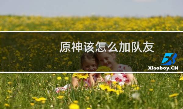 原神该怎么加队友