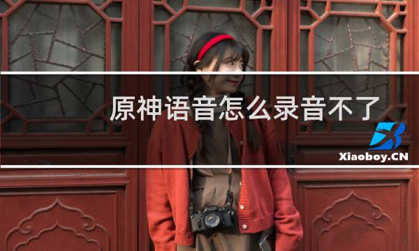 原神语音怎么录音不了