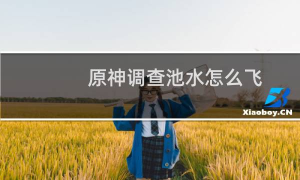 原神调查池水怎么飞