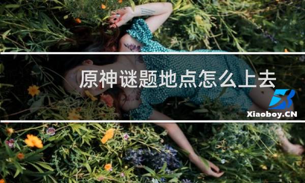 原神谜题地点怎么上去